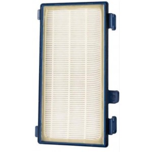 Filtro Hepa Compativel C/ Rowenta RS-RT3931, ZR902301