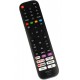 Comando Hisense EN2J30H