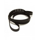 CORREIA POLY-V 1195H8EL 