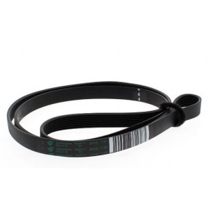 CORREIA POLY-V 1195H8EL