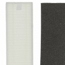 Kit filtros Rowenta X-plorer Serie 45 RR8227 ZR720002 