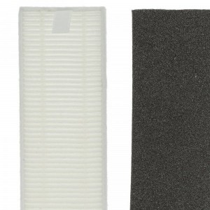 Kit filtros Rowenta X-plorer Serie 45 RR8227 ZR720002 