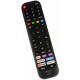 Comando Hisense EN2G30H