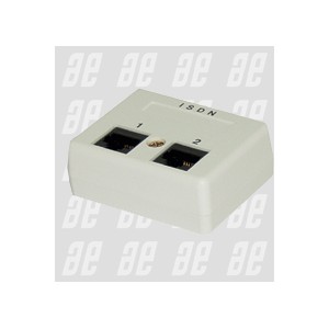 Caja Extensora 2 RJ45