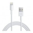 Lightning to USB Cable