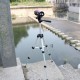 Suporte Digital-Video-Photo Tripod