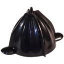 Cone