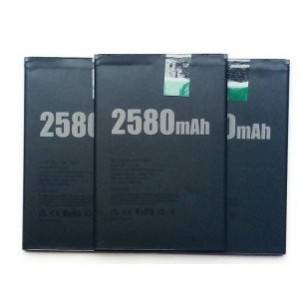 BATERIA DOOGEE BAT17582580 (X20)