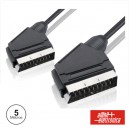 scart